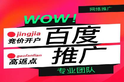 探索SEO在移动端的优化策略——成功案例分享